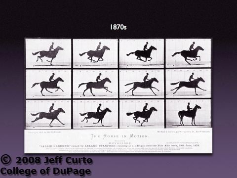 muybridge_010.jpg